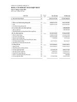 Tài liệu Bảng cân đối kế toán hợp nhất ppt