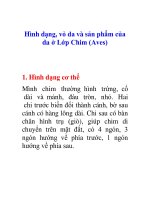 Tài liệu Hình dạng, vỏ da và sản phẩm của da ở Lớp Chim (Aves) pdf
