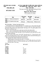 Bài soạn Đề_ĐA_HSG Tỉnh ĐăkLăk_V2_2010