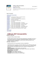 Tài liệu COM and .NET Interoperability doc