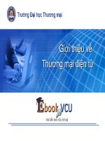 GIỚI THIỆU VỀ THƯƠNG MẠI ĐIỆN TỬ