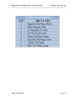 PHÁT TRIỂN tài CHÍNH và NHỮNG NHÂN tố xác ĐỊNH cấu TRÚC vốn ở VIỆT NAM 