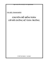 Tài liệu Tài liệu tham khảo: Chuyên đề kiểm toán - Lớp bồi dưỡng kế toán trưởng docx