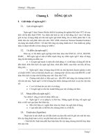 Tài liệu Chương 1: Tổng quan docx