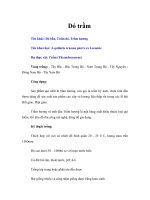 Tài liệu Dó trầm docx