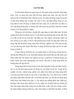 HỆ THỐNG MẠNG TRONG NHÀ 