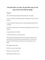 Tài liệu Giao khoán đất, cây trồng, vật nuôi, hiện trạng các loại rừng và tài sản trên đất lâm nghiệp doc