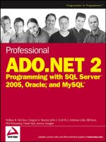 Tài liệu Professional ADO.NET 2 Programming with SQL Server 2005, Oracle and MySQL (P1) docx