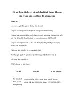 Tài liệu Hồ sơ thẩm định, xét và phê duyệt trữ lượng khoáng sản trong báo cáo thăm dò khoáng sản doc