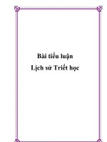 Tài liệu Bài tiểu luận: Lịch sử Triết học doc