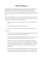 Tài liệu Sinh vật nhân sơ và sinh vật nhân chuẩn doc