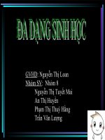 Tài liệu cac khu bao ton o Viet Nam pptx