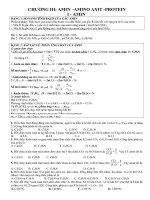  đề cương ôn tập chương amin