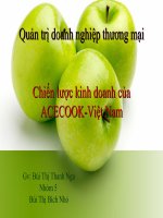 Chiến lược kinh doanh của ACECOOK việt nam 