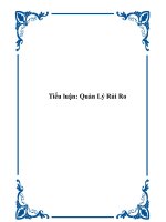 Tài liệu Tiểu luận: Quản Lý Rủi Ro doc