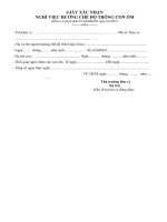 Tài liệu Giấy xác nhận nghỉ việc hưởng chế độ trông con ốm. docx