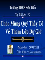 Gián án Sinh hoc 9 tiet 41 thuc hanh tap duot giao phan (GVG)