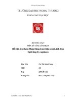 Các giải pháp nâng cao hiệu quả lãnh đạo tại công ty agriseco 