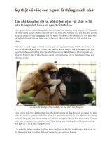 Sự thật về việc con người là thông minh nhất