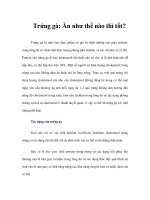 Tài liệu Trứng gà: Ăn như thế nào thì tốt? ppt