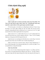Tài liệu Chữa bệnh bằng nghệ pdf