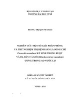 Nghiên cứu một số giải pháp phòng và thử nghiệm trị sán lá song chủ prosochis acanthuri ký sinh trong ruột và dạ dày cá giò (rachycentron cannadum) ương trong ao nước lợ luận văn tốt nghiệp đại học 