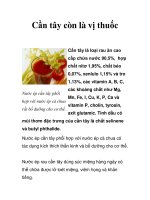 Tài liệu Cần tây còn là vị thuốc docx