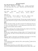 Tài liệu de toan on tap tet