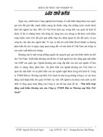 BÁO CÁO HOẠT ĐỘNG XK KHOÁNG SẢN CỦA CÔNG TY TNHH ĐẦU TƯ THƯƠNG MẠI BẦU TRỜI XANH