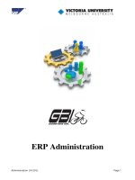 ERP administration 