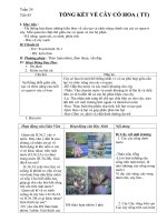 Bài giảng tuần 24 - sinh 6