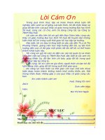 Các nhân tố ảnh hưởng đến sự thỏa mãn công việc của nhân viên khối văn phòng tại công ty TNHH bia huế 