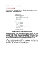 Tài liệu Chinh phục Yahoo Blog - Topic 4: A Professional Blog. pdf