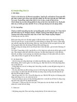 Tài liệu Kỹ thuật trồng Chà Là doc