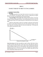 Chuyên đề thuế đánh vào cung lao động 