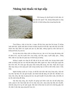 Tài liệu Những bài thuốc từ hạt nếp doc