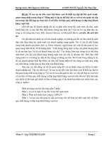 Bài tập thi môn quản trị chiến lược hội nhập 