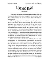 Tăng cường kiểm soát nội bộ đối với khoản mục vốn bằng tiền tại chi nhánh ngân hàng nông nghiệp và phát triển nông thôn khu vực triệu hải   quảng trị 