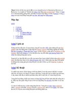 Tài liệu Maser pdf