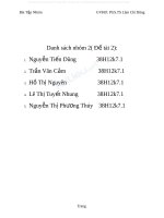 Tiểu luận:Thực trạng hoạt động quản trị rủi ro tín dụng hệ thống ngân hàng thương mại Việt Nam