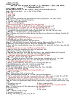 Bài giảng đề thi tiểu học chọn hsg