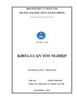 Hoàn thiện công tác hạch toán kế toán vốn bằng tiền tại công ty cổ phần t m và đầu tư phát triển hạ long 