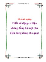 Tài liệu Đồ án tốt nghiệp - Thiết kế động cơ điện không đồng bộ một pha điện dung dùng cho quạt ppt