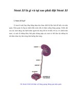 Tài liệu Stent JJ là gì và tại sao phải đặt Stent JJ doc