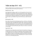 Gián án TUẦN CỦA BẠN (31-6/2/2011)