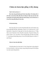 Tài liệu Chăm sóc hươu đực giống và lấy nhung pdf