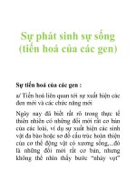 Tài liệu Sự phát sinh sự sống (tiến hoá của các gen) doc