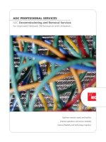 Tài liệu ADC PROFESSIONAL SERVICES ADC Decommissioning and Removal Services for Improved Network Performance and Utilization docx