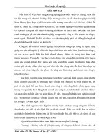 Hoàn thiện công tác kế toán doanh thu, chi phí, xác định kết quả kinh doanh tại công ty TNHH ngọc tiến 