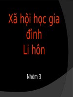 Tài liệu Xã hội học gia đình _ Li hôn pdf